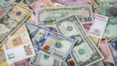 جزئیات تخصیص ارز توسط معاون ارزی بانک مرکزی اعلام شد
