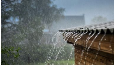 بارش باران در آستارا بی سابقه در 100 سال اخیر