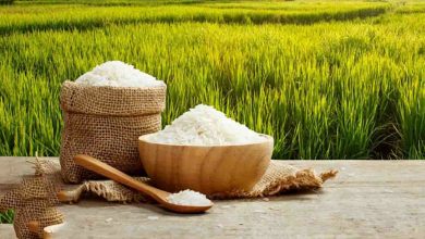 برنامه دولت برای خرید برنج موجود در انبارها چیست؟