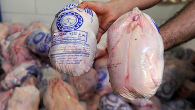 حذف ارز ترجیحی اقلام دامپزشکی قیمت مرغ را گران می کند؟