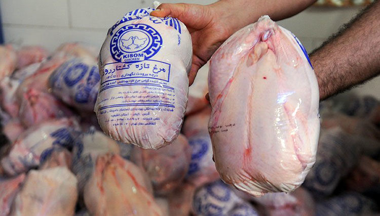 حذف ارز ترجیحی اقلام دامپزشکی قیمت مرغ را گران می کند؟