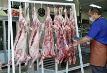 شروع سال تحصیلی قیمت گوشت قرمز را ارزان کرد!