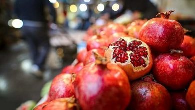 قیمت میوه های نوبرانه پاییزی در بازار