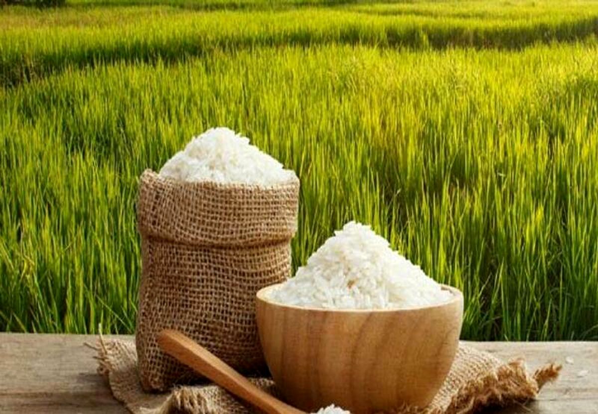 هشدار جدی برای وارد کنندگان برنج