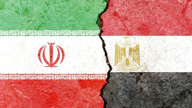 وزیر خارجه: تهران و قاهره در مسیر ارتقا روابط حرکت می کنند