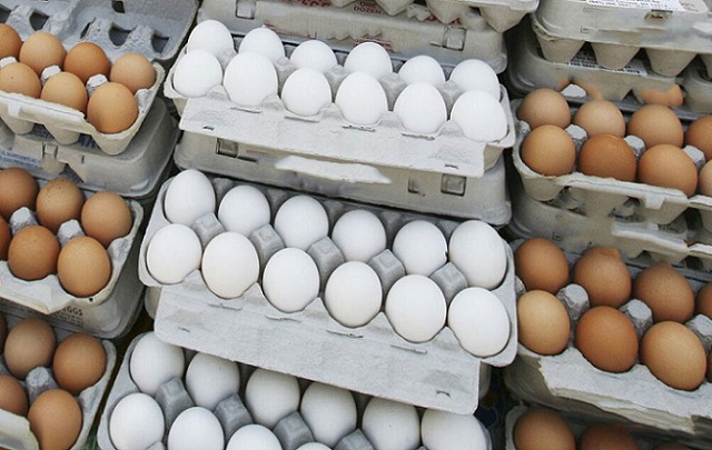 چراغ سبز وزارت کشاورزی برای افزایش قیمت تخم‌مرغ