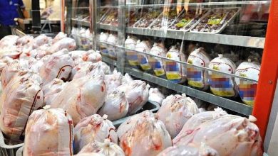 قیمت هر کیلو مرغ گرم در بازار چند؟