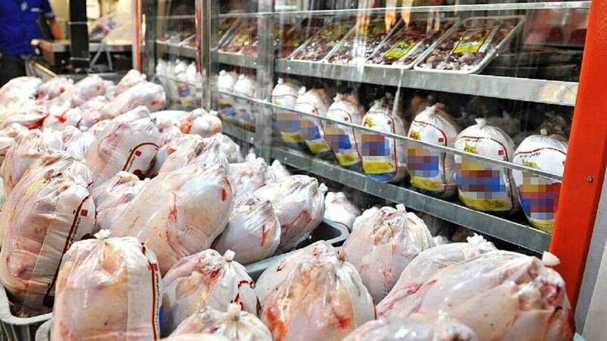 قیمت هر کیلو مرغ گرم در بازار چند؟