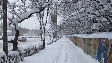 هواشناسی برای ۲۱ استان هشدار بارش برف و باران صادر کرد