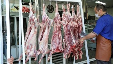 قائم‌مقام وزیر جهاد کشاورزی: قیمت گوشت ارزان‌تر می شود
