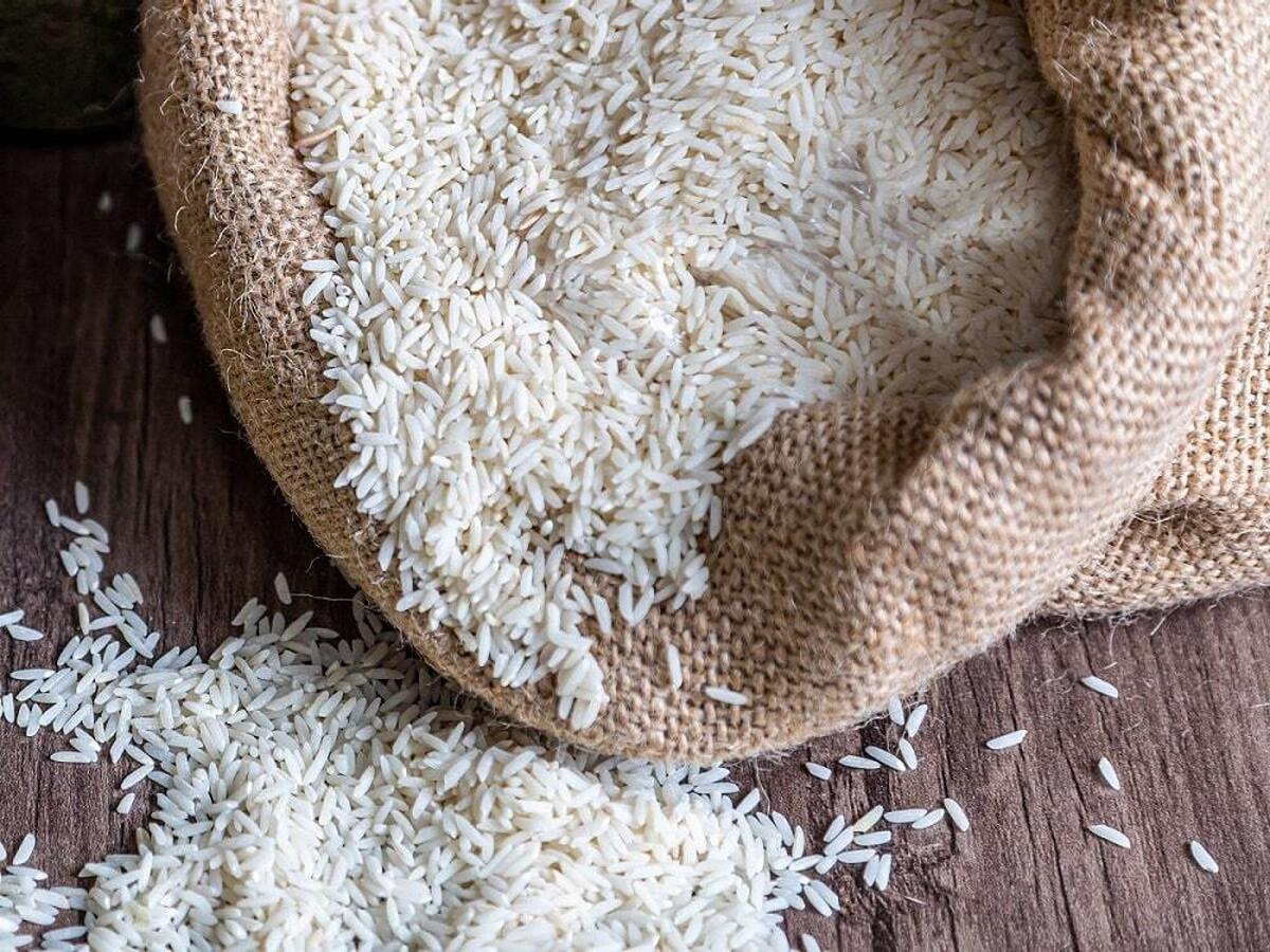 واردات برنج ممنوع خواهد ماند