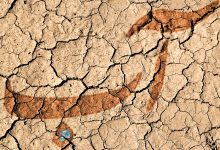 پیش بینی غلط هواشناسی؛ خبری از پایان خشکسالی نبود