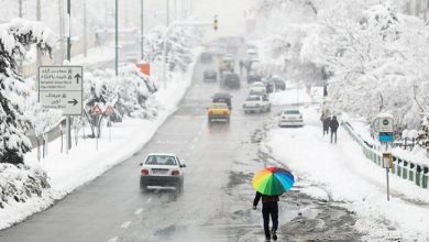 هواشناسی: بارش برف و باران در تهران و ۲۲ استان دیگر از امروز
