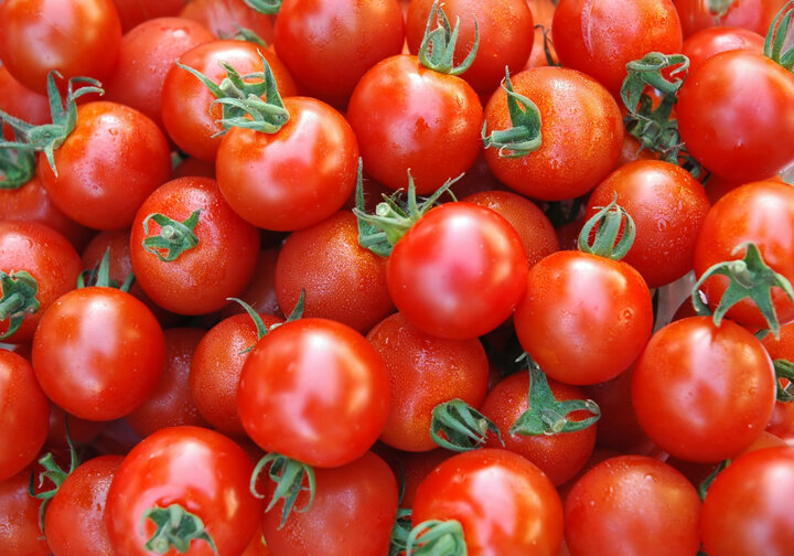وعده کاهش قیمت گوجه فرنگی تا 10 رو آینده