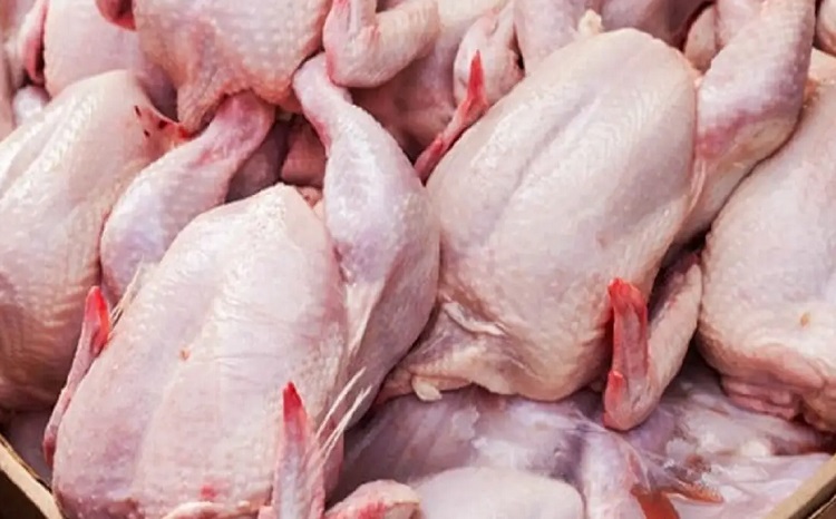 زیان ۶ هزار تومانی تولید هر کیلو مرغ: قیمت مرغ افزایش می‌یابد؟
