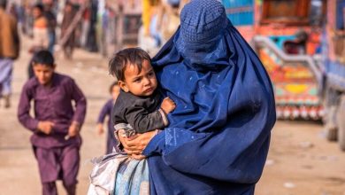 موج ورود مهاجران افغانستانی تشدید می‌شود