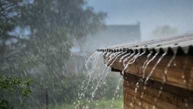 هواشناسی: بارش‌ها در این ۱۴ استان تشدید می‌شود