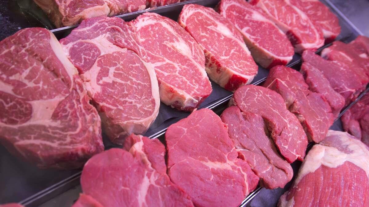 تا پایان سال واردات گوشت ادامه خواهد داشت
