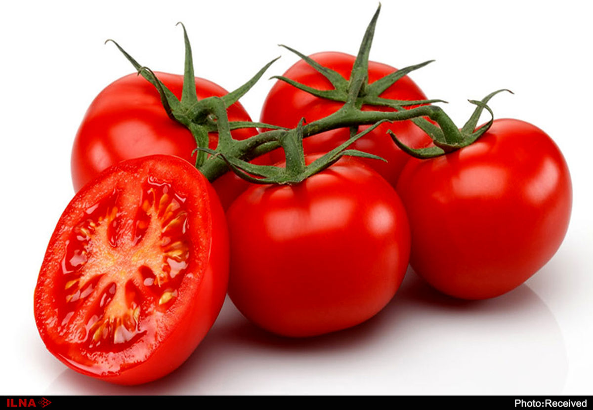 سیگنال جنوبی کاهش قیمت گوجه فرنگی