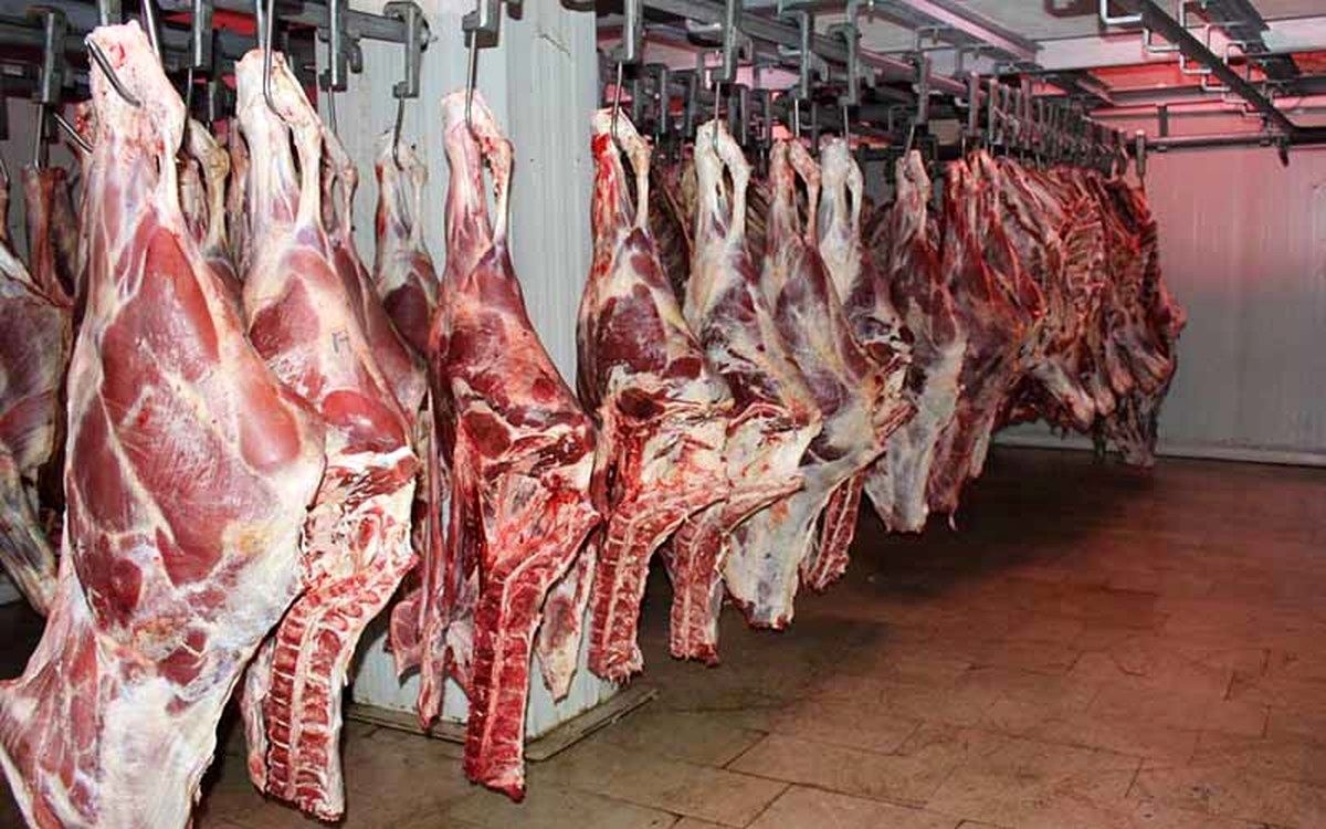قیمت گوشت کاهش خواهد یافت؟