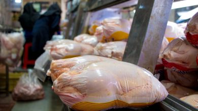 قیمت گوشت مرغ در بازار گران شد