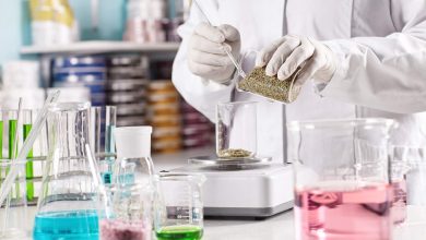 6 Essential Items for Handling and Storing Laboratory Chemicals