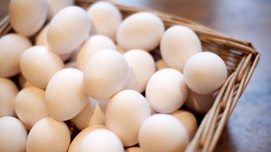 مصرف سرانه تخم مرغ به 15 کیلو رسید