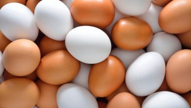 امسال بیش از 107 هزار تن تخم مرغ صادر شده است