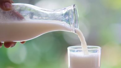 شیر فراویژه حاوی آغوز برای اولین بار در ایران تولید شد