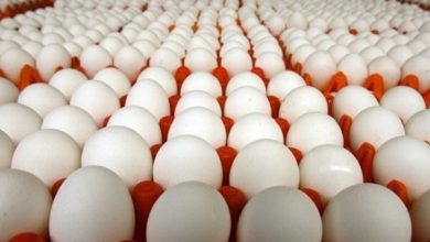 قیمت مصوب تخم‌مرغ تغییر کرده است؟