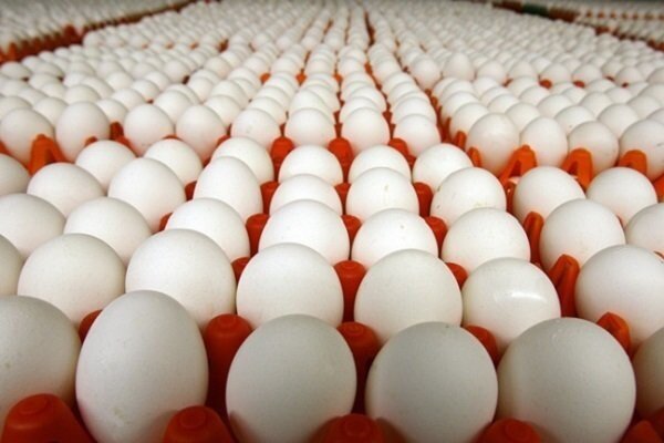 قیمت مصوب تخم‌مرغ تغییر کرده است؟