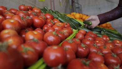 قیمت گوجه در میدان میوه و تره بار چند؟