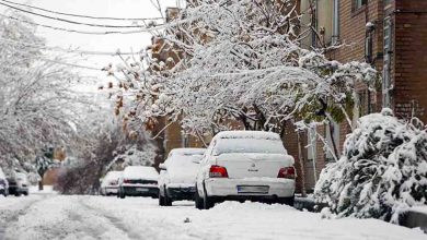هواشناسی شنبه ۲ دی؛ بارش برف و کاهش دما در این ۸ استان از امروز