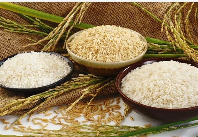 برای تامین منابع خرید تضمینی محصولات کشاورزی؛ ارز ترجیحی واردات برنج حذف شود