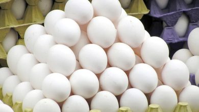 تخم مرغ را چند بخریم؟