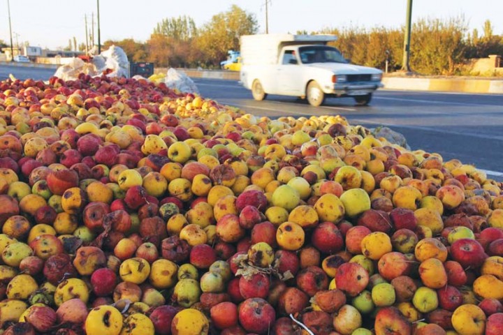 سیب‌ های فاسدی که جان دریاچه ارومیه را گرفتند!