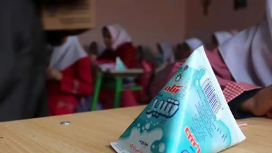 شیر رایگان در مدارس به چه صورت توزیع می شود؟