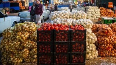 عوارض صادراتی پیاز به ۴۰ و گوجه به ۳۰ درصد کاهش پیدا کرد