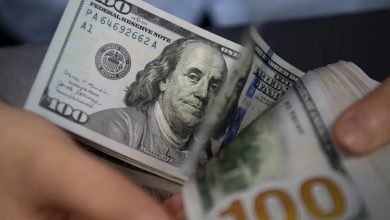 اعضای دولت روحانی قیمت دلار را ۸۰ هزار تومان پیش بینی می کردند