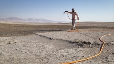ماجرای مالچ‌پاشی چیست؟ دریاچه ارومیه بیابان شد؟