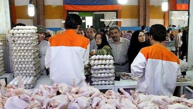 قیمت گوشت مرغ در بازار امروز 2 بهمن
