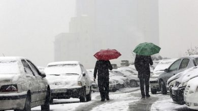 هواشناسی امروز ۱ بهمن؛ بارش برف و باران از فردا در این استان‌ها