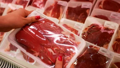 دولت برای ارزان شدن گوشت برنامه ای دارد؟