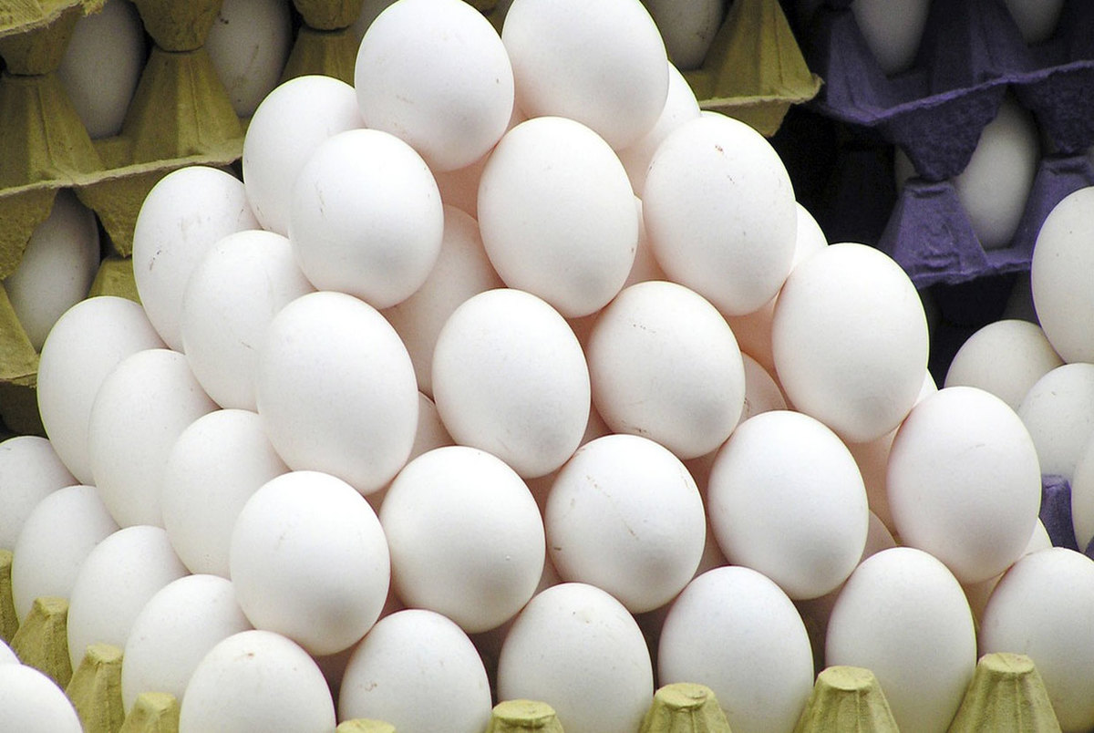 نرخ مصوب هر کیلو تخم مرغ اعلام شد