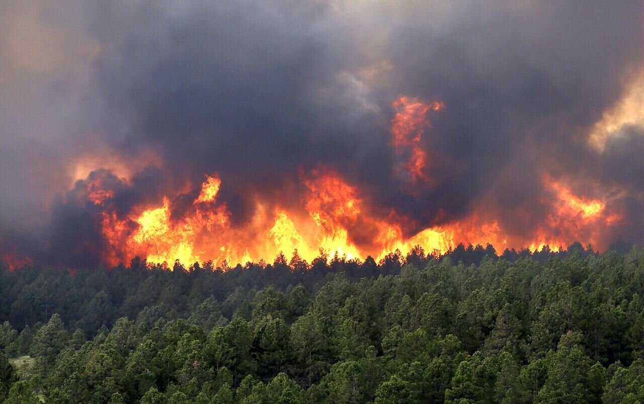 آتش به جان جنگل های نوشهر افتاد