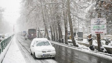 سرما چند روزی مهمان تهران بود