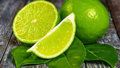 وجود لیمو در رژیم غذایی باعث تقویت سیستم ایمنی بدن می شود