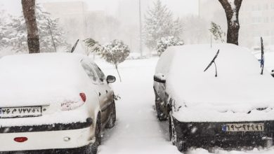 هواشناسی ۱۴ بهمن؛ آغاز بارش برف و باد شدید از امروز در این مناطق