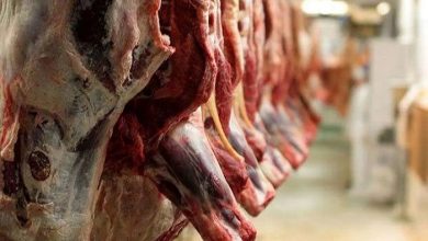 عرضه گوشت ۲۳۰ هزار تومانی در بازار آغاز شد