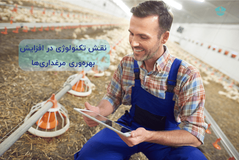 نقش تکنولوژی در افزایش بهره‌وری مرغداری‌ها